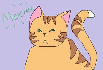 Cat for Sarah